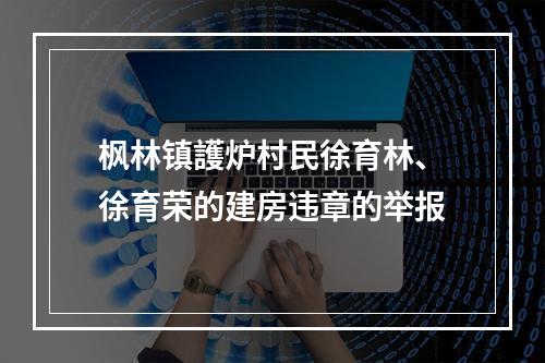 枫林镇護炉村民徐育林、徐育荣的建房违章的举报