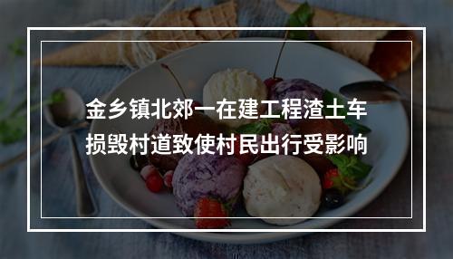 金乡镇北郊一在建工程渣土车损毁村道致使村民出行受影响