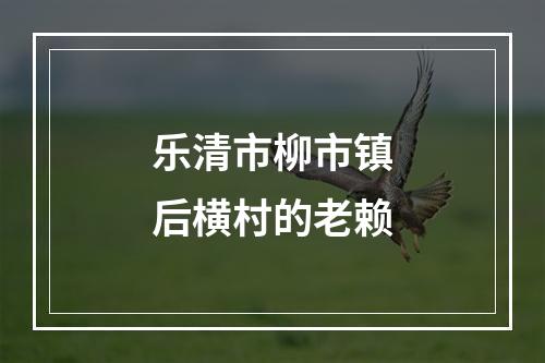 乐清市柳市镇后横村的老赖