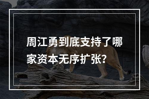 周江勇到底支持了哪家资本无序扩张？