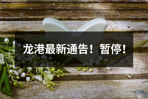 龙港最新通告！暂停！