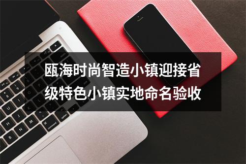 瓯海时尚智造小镇迎接省级特色小镇实地命名验收