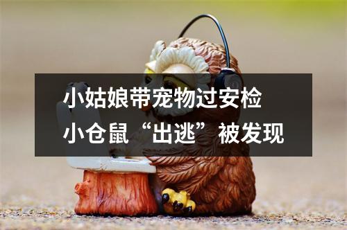小姑娘带宠物过安检 小仓鼠“出逃”被发现