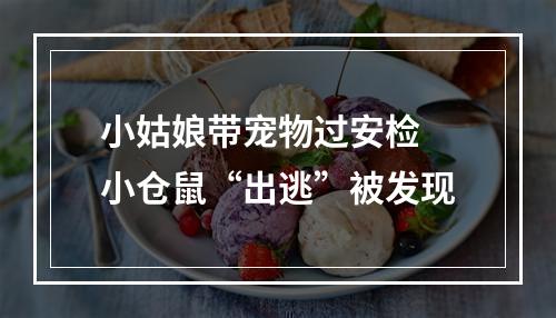 小姑娘带宠物过安检 小仓鼠“出逃”被发现