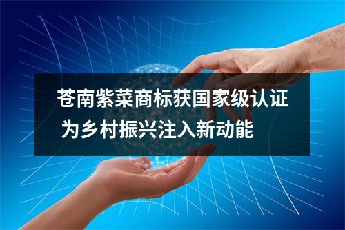 苍南紫菜商标获国家级认证 为乡村振兴注入新动能