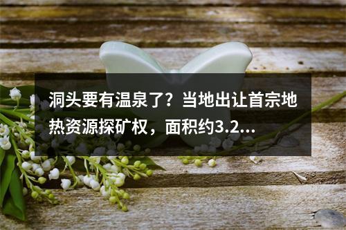洞头要有温泉了？当地出让首宗地热资源探矿权，面积约3.22平方千米
