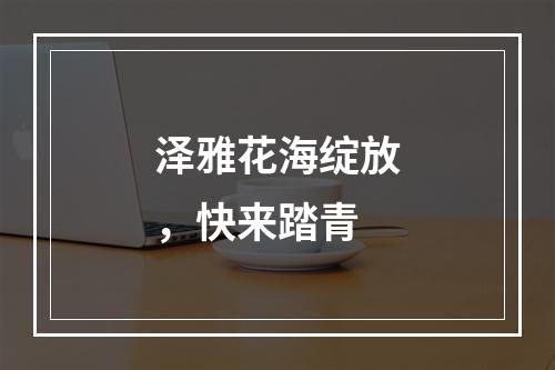 泽雅花海绽放，快来踏青