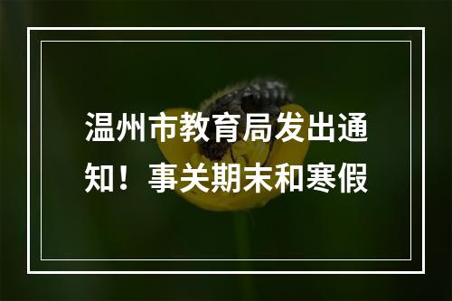 温州市教育局发出通知！事关期末和寒假