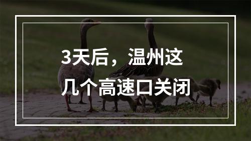 3天后，温州这几个高速口关闭