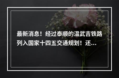 最新消息！经过泰顺的温武吉铁路列入国家十四五交通规划！还有甬台温福高铁 ...