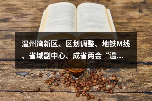 温州湾新区、区划调整、地铁M线、省域副中心、成省两会“温州声音”！