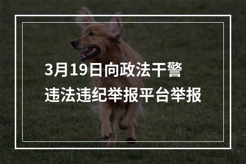 3月19日向政法干警违法违纪举报平台举报