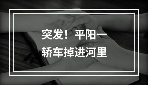 突发！平阳一轿车掉进河里