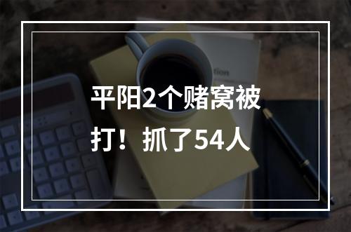 平阳2个赌窝被打！抓了54人