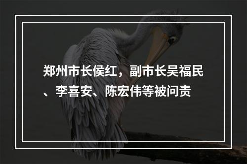 郑州市长侯红，副市长吴福民、李喜安、陈宏伟等被问责
