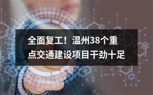全面复工！温州38个重点交通建设项目干劲十足