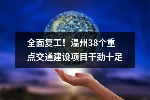 全面复工！温州38个重点交通建设项目干劲十足