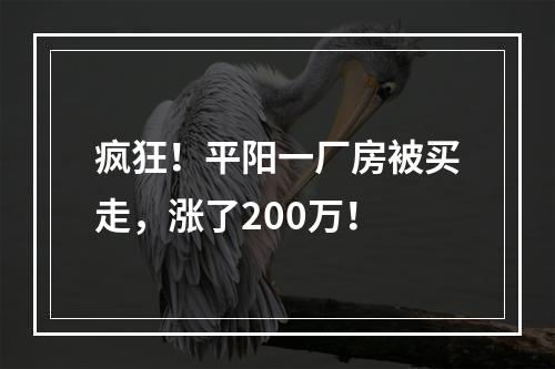 疯狂！平阳一厂房被买走，涨了200万！