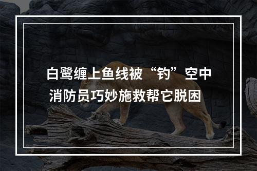 白鹭缠上鱼线被“钓”空中 消防员巧妙施救帮它脱困