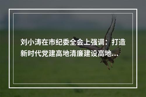 刘小涛在市纪委全会上强调：打造新时代党建高地清廉建设高地市域样板
