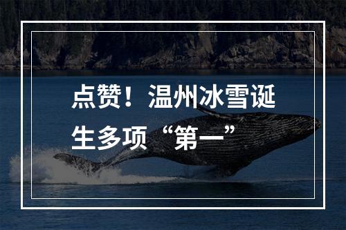 点赞！温州冰雪诞生多项“第一”