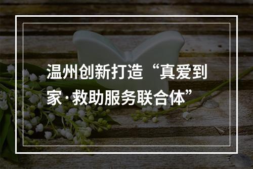 温州创新打造“真爱到家·救助服务联合体”