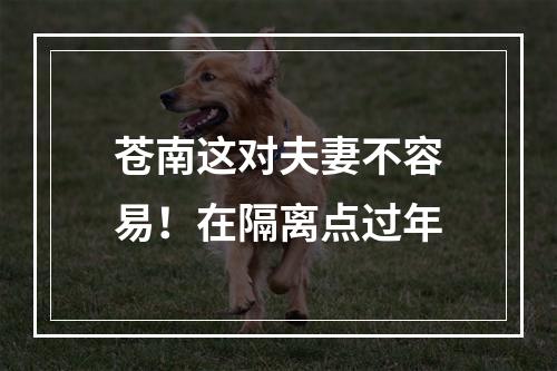 苍南这对夫妻不容易！在隔离点过年