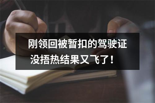 刚领回被暂扣的驾驶证 没捂热结果又飞了！