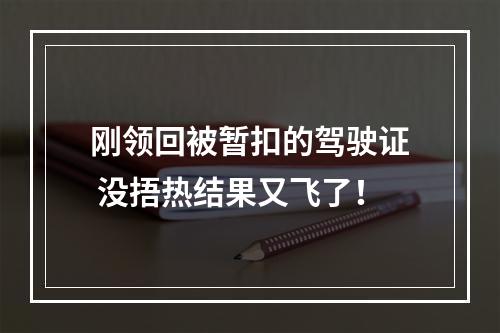 刚领回被暂扣的驾驶证 没捂热结果又飞了！