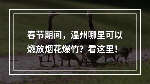 春节期间，温州哪里可以燃放烟花爆竹？看这里！