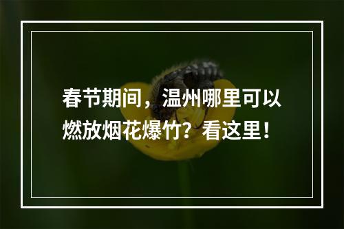 春节期间，温州哪里可以燃放烟花爆竹？看这里！