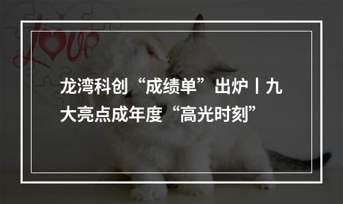 龙湾科创“成绩单”出炉丨九大亮点成年度“高光时刻”