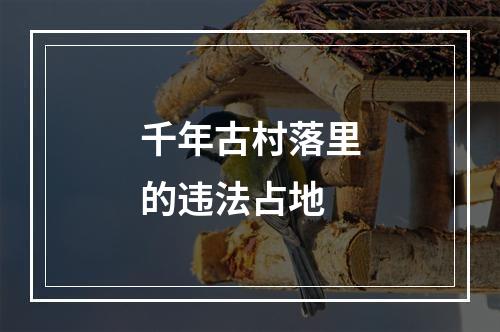 千年古村落里的违法占地