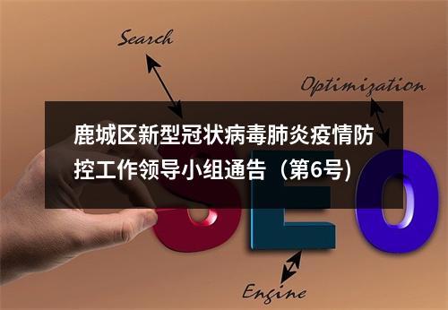 鹿城区新型冠状病毒肺炎疫情防控工作领导小组通告（第6号)