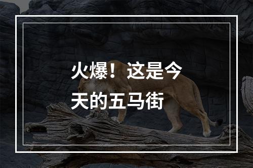 火爆！这是今天的五马街