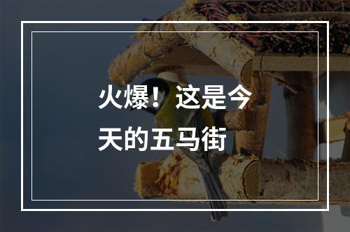 火爆！这是今天的五马街