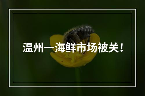 温州一海鲜市场被关！