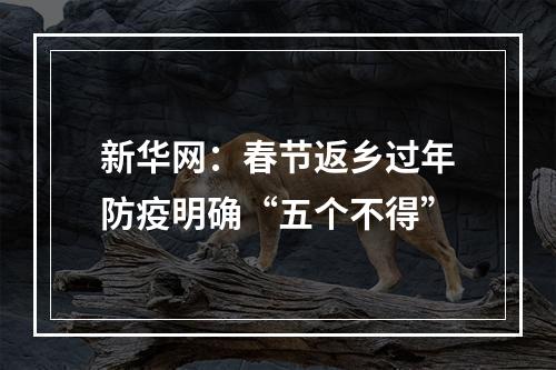 新华网：春节返乡过年防疫明确“五个不得”