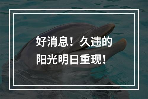 好消息！久违的阳光明日重现！