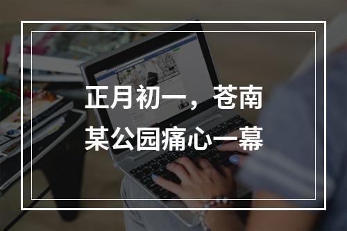 正月初一，苍南某公园痛心一幕