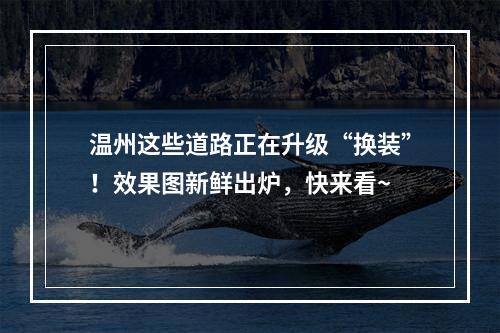 温州这些道路正在升级“换装”！效果图新鲜出炉，快来看~