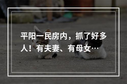 平阳一民房内，抓了好多人！有夫妻、有母女…