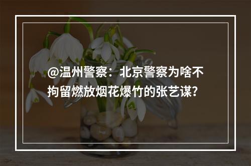 @温州警察：北京警察为啥不拘留燃放烟花爆竹的张艺谋？