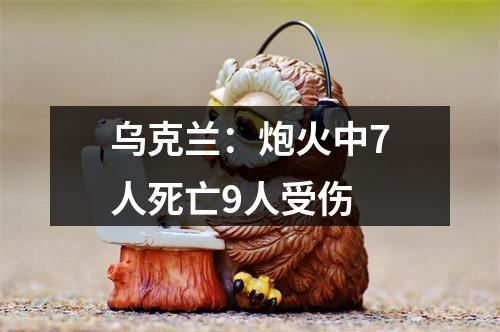 乌克兰：炮火中7人死亡9人受伤