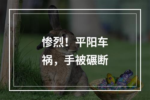 惨烈！平阳车祸，手被碾断