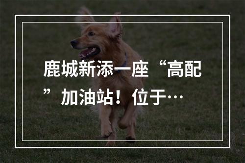 鹿城新添一座“高配”加油站！位于…