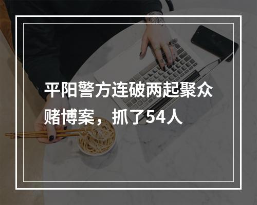 平阳警方连破两起聚众赌博案，抓了54人