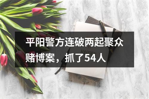 平阳警方连破两起聚众赌博案，抓了54人