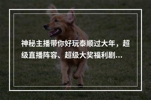 神秘主播带你好玩泰顺过大年，超级直播阵容、超级大奖福利剧透了...