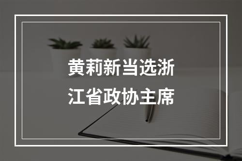 黄莉新当选浙江省政协主席